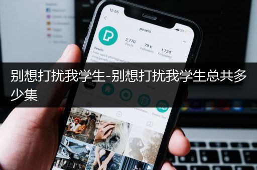 别想打扰我学生-别想打扰我学生总共多少集